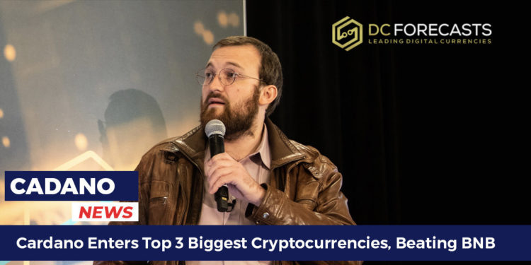 cardano enters top 3