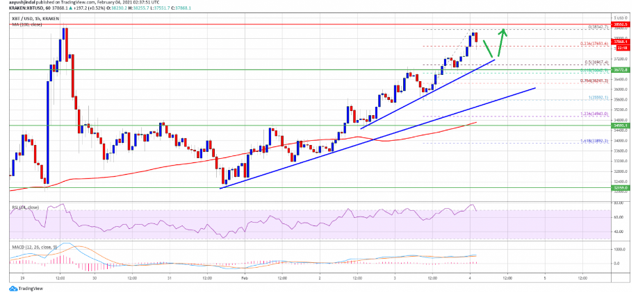 btcusd