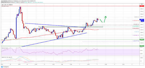 btcusd