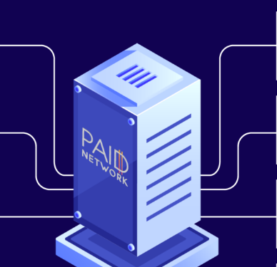 paid defi token, exploit, network