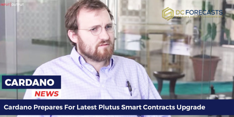 cardano prepares