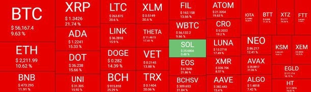 crypto market overview