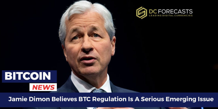 jamie dimon believes