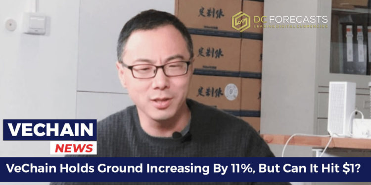 vechain holds ground