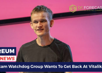 Crypto Scam Watchdog