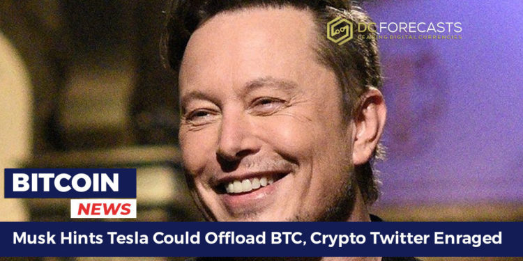 musk hints