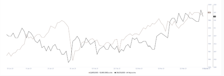 XRP chart