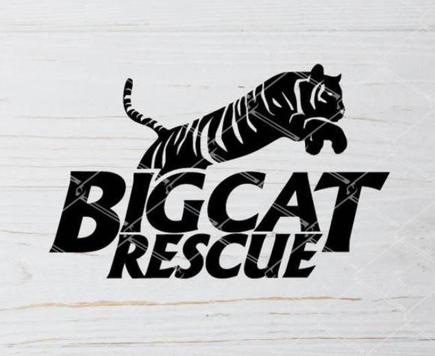 bigcatrescue