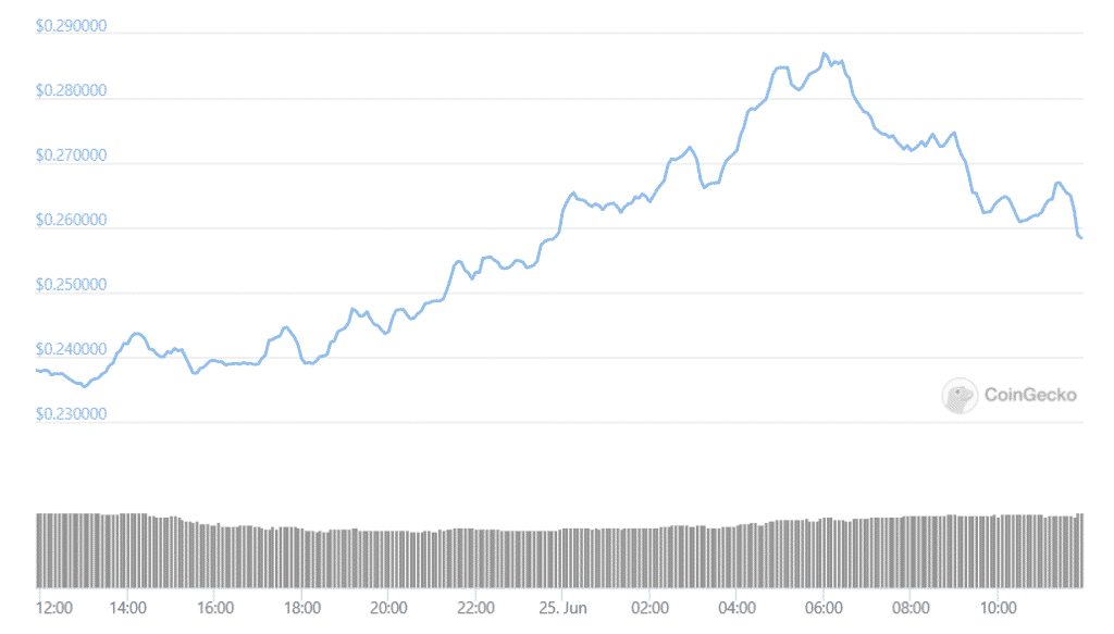 doge price