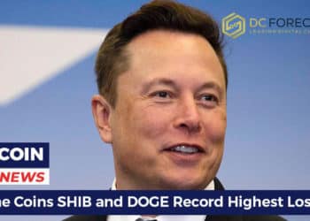 meme coins shib and doge