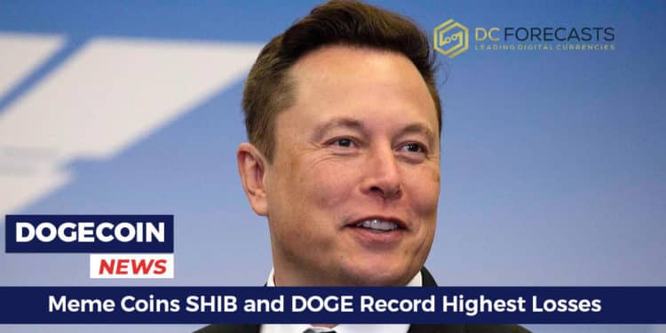 meme coins shib and doge