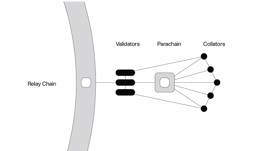 parachains polkadot