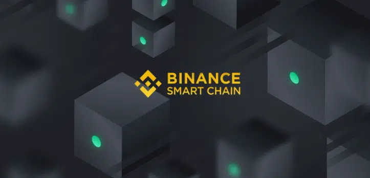 Peckshield Data Revealed, binance smart chain, projects, rug pull