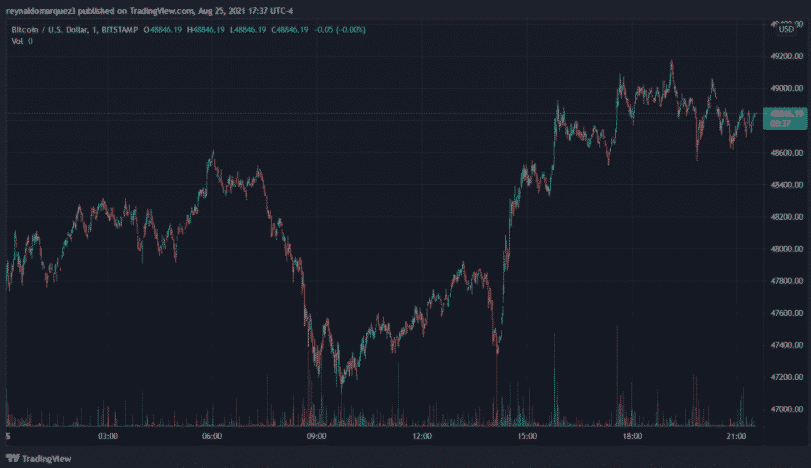 btc on a rally