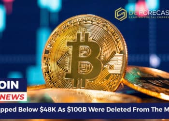 Bitcoin Slipped Below $48K As $100B Were Deleted From The Market Cap