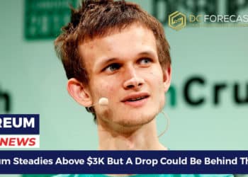 Ethereum Steadies