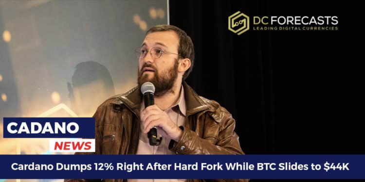 Cardano Dumps 12%
