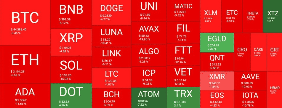 crypto market overveiw