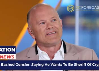 Novogratz Bashed Gensler