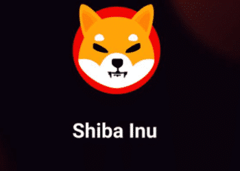 SHIB Whales Trading, shiba inu, price, level