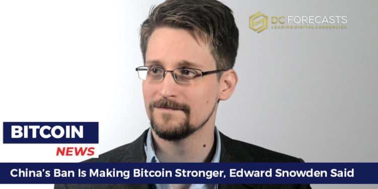 China’s Ban Is Making