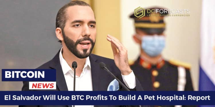 El Salvador Will Use