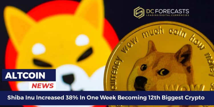 Shiba Inu Increased 38%