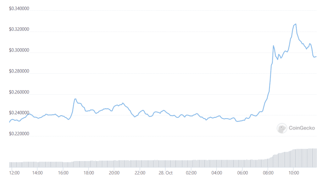 doge price 