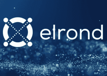 Skynet Trading, elrond, romania, defi