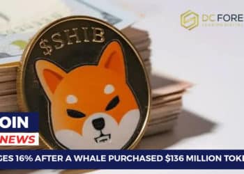 SHIB Surges 16%