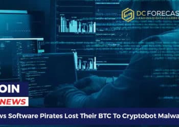 Windows Software Pirates