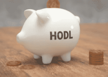 Best Crypto Assets To Hodl During Crypto Winter: Experts