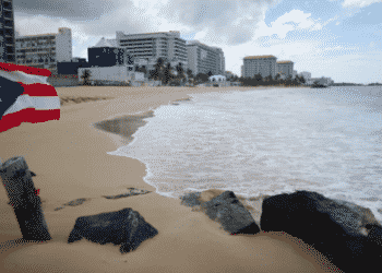 puerto rico will battle, blockchain, hernandez