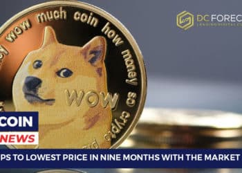 DOGE Drops To Lowest