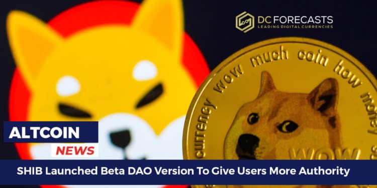 SHIB Launched Beta DAO