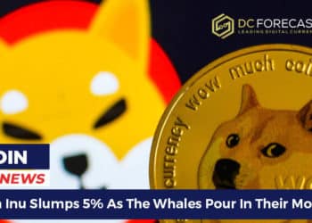 Shiba Inu Slumps 5%