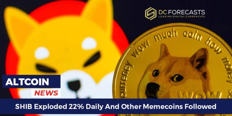 SHIB Exploded 22%