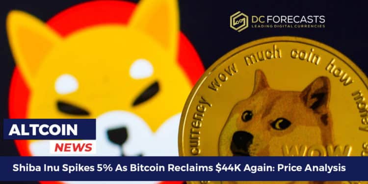Shiba Inu Spikes 5%