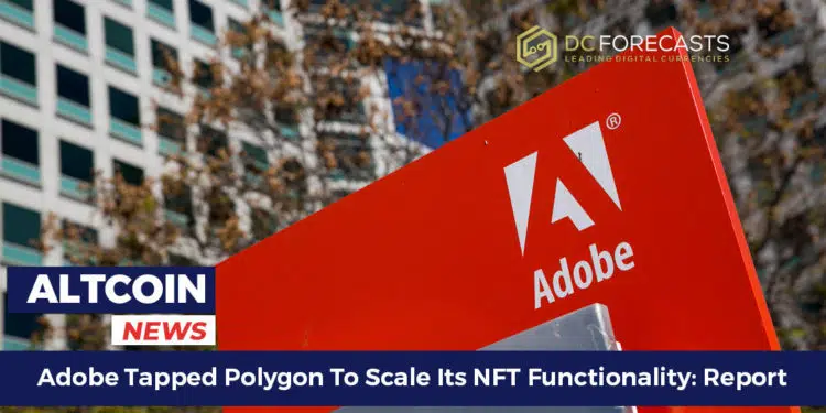 Adobe Tapped Polygon