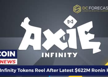 Axie Infinity Tokens