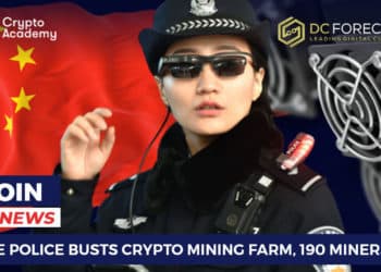 Chinese Police Busts