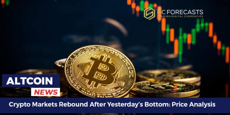Crypto Markets Rebound After