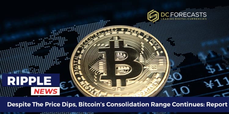 Despite The Price Dips