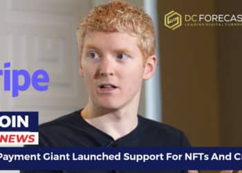 Stripe Payment Giant