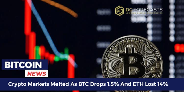 Crypto Markets Melted