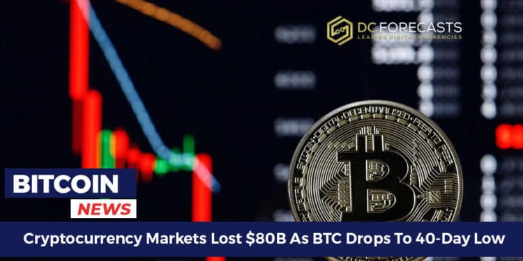 Cryptocurrency Markets Lost