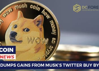 DOGE Dumps Gains