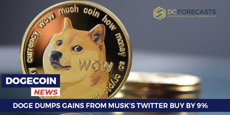 DOGE Dumps Gains
