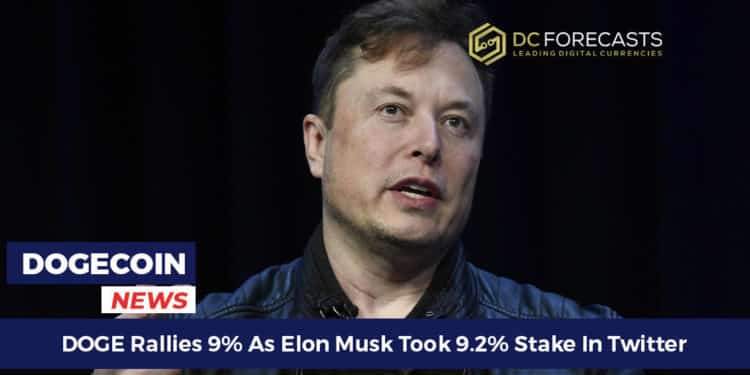 DOGE Rallies 9%