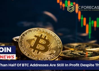 More Than Half Of BTC Addresses